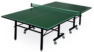 Всепогодный стол для настольного тенниса Professional 274 х 152,5 х 76 см